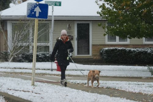 Winter Weather Illinois