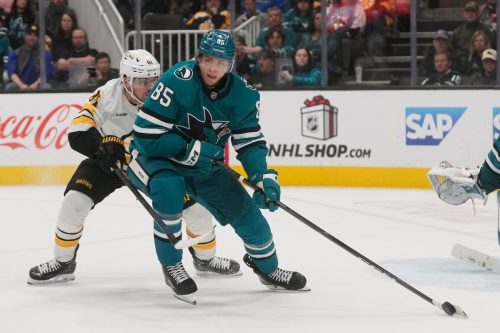 Bruins Sharks Hockey