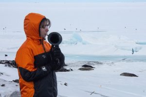 New Zealand Antarctica Musician