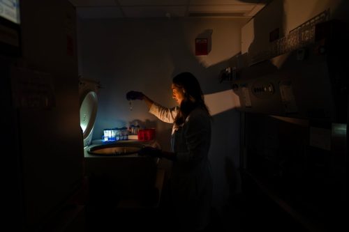 Autoimmune Disease Detectives Photo Essay