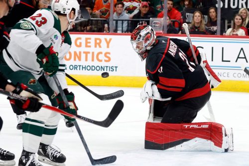 Wild Hurricanes Hockey