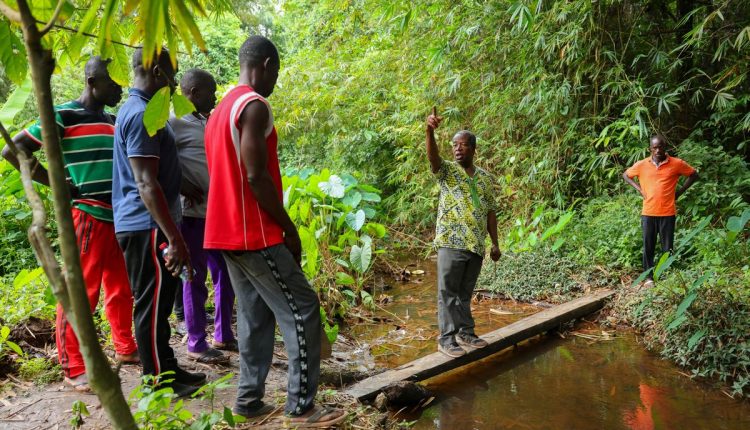 Ghana Illegal Mining