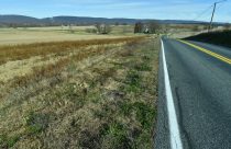 Big Tech-Energy Demand