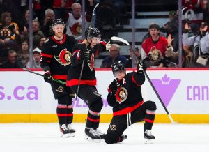 Bruins Senators Hockey