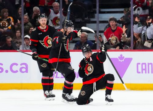 Bruins Senators Hockey