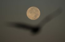 US Supermoon