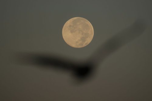 US Supermoon