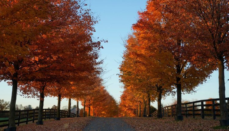Climate Fall Foliage Photo Gallery