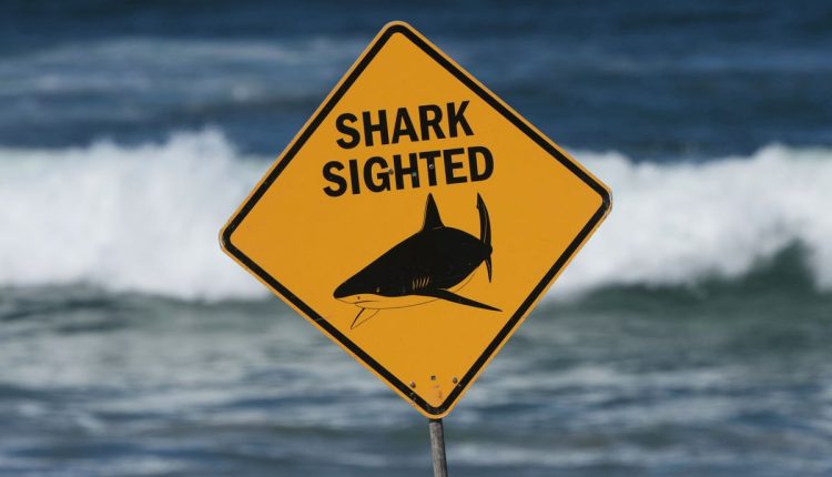Australia Shark Attack