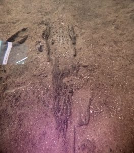 Ancient Canoes Parking Lot