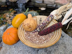 Giving Thanks for Native American Wisdom