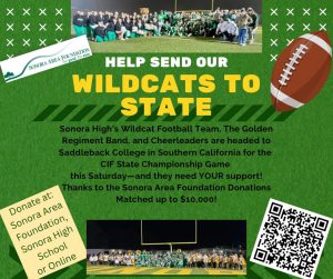 Wildcats Launch Fundraiser For State Championship Trip