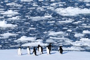 APTOPIX Climate Antarctica Photo Gallery