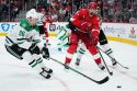 Stars Red Wings Hockey