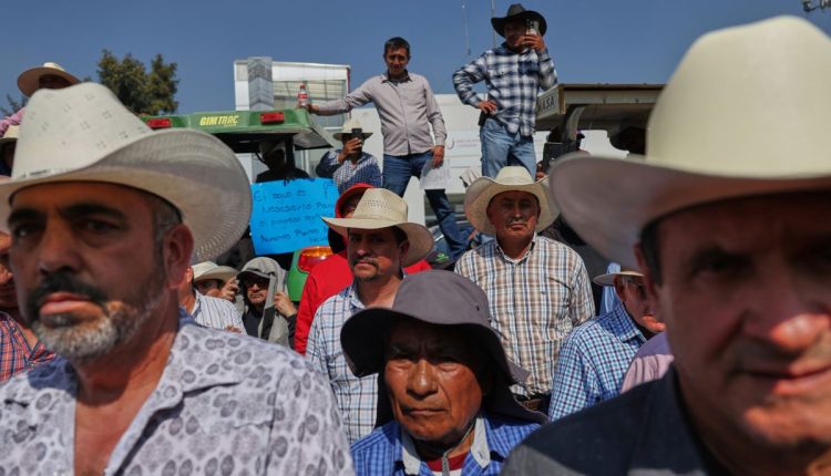 Mexico Farmers Protest