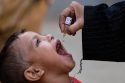 Pakistan Polio