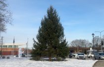 US Christmas Tree Gift