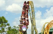 Amusement Park Death