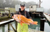 California Record Rockfish