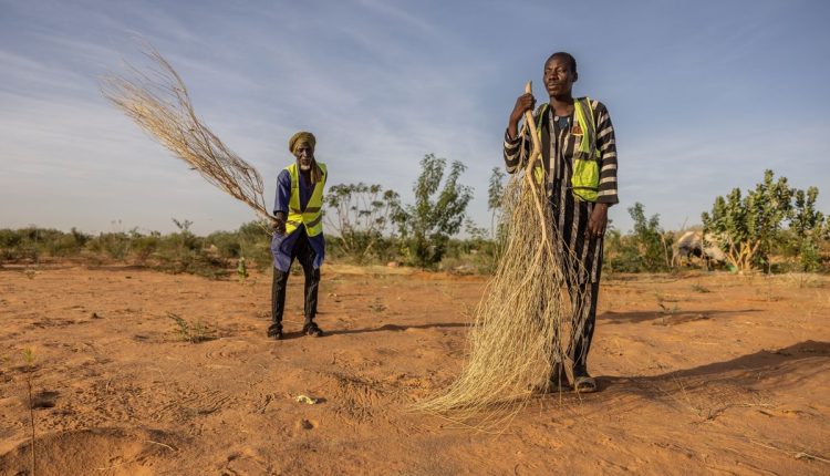 Mauritania Desert Firefighters