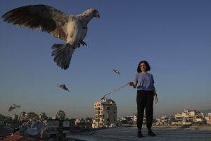 Lebanon Rooftop Pigeons