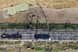 India Elephants Accident