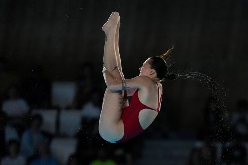 Ukraine Lyskun Diving