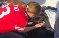 Dog Rescued San Diego