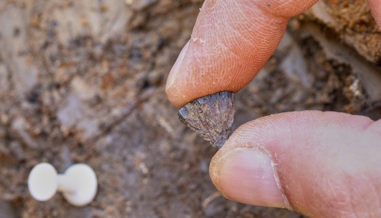 Britain Archaeology Fire Making