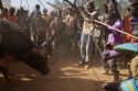 Kenya Bullfighting Photo Gallery
