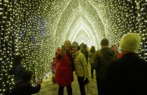 Botanical Garden Holiday Lights