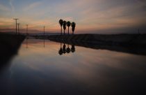 California Farmer Wife's Killing