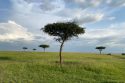Travel-Kenya-Safari with a Purpose