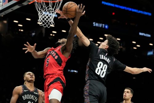 Raptors Nets Basketball