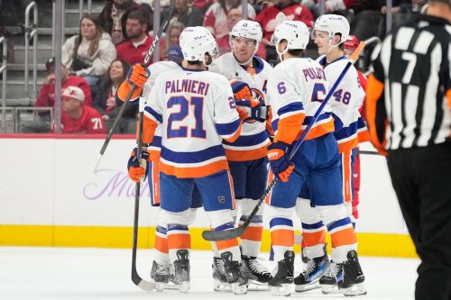 Islanders Red Wings Hockey
