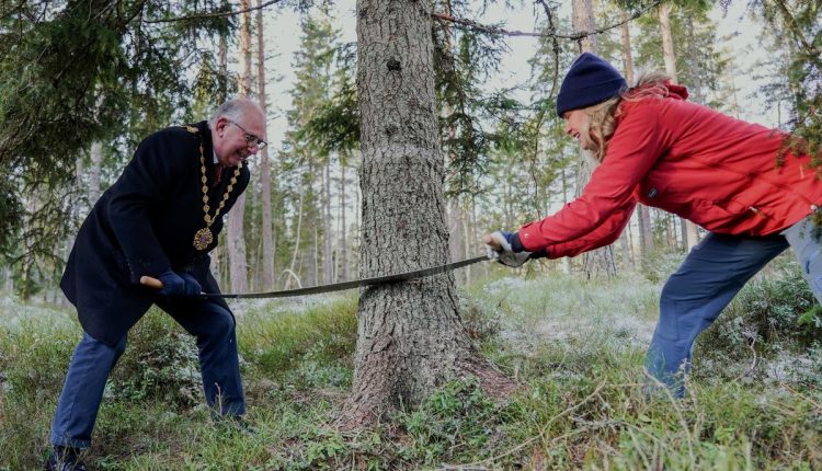 Norway Christmas Tree