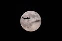 APTOPIX Louisville UPS Plane Crash Supermoon
