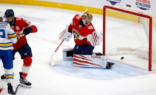 Blues Panthers Hockey