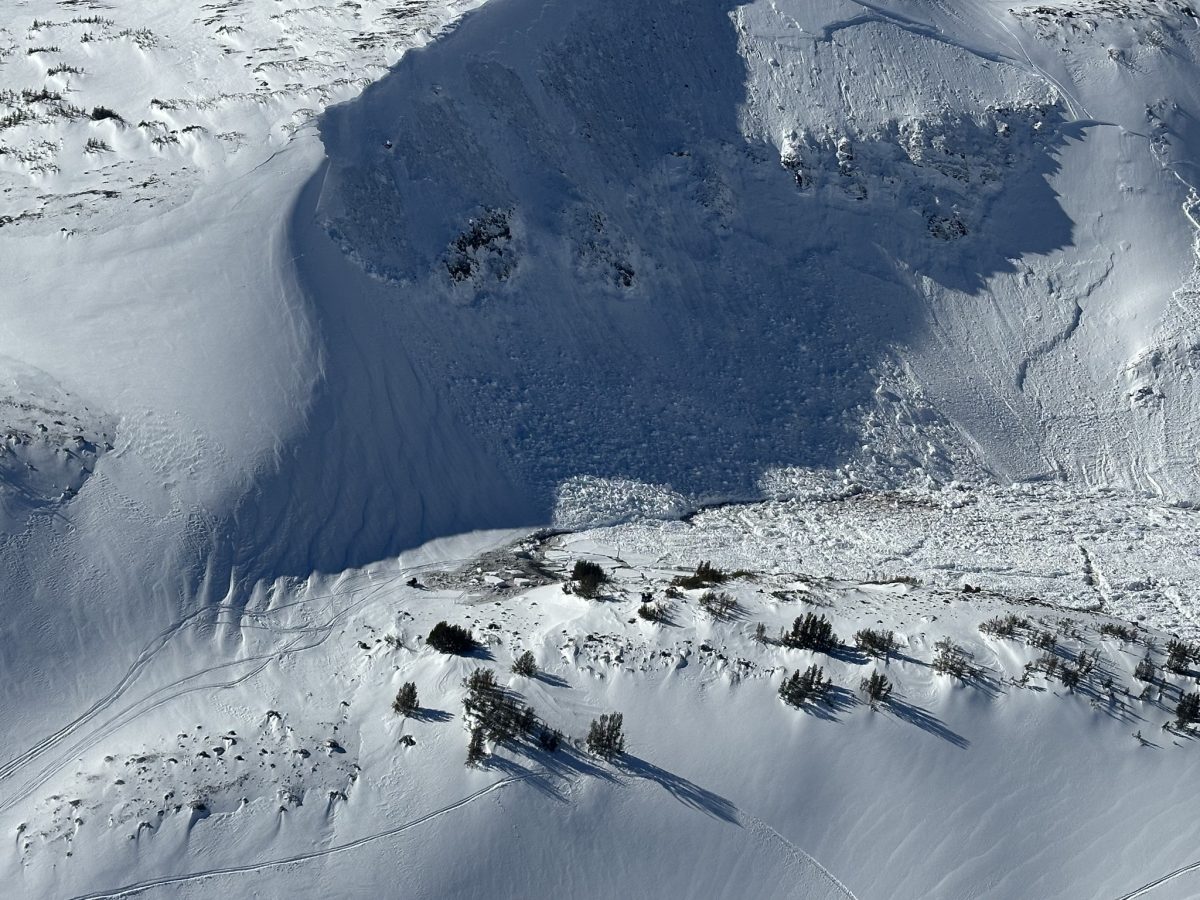 Snowmobiler Injured In Sierra Nevada Avalanche Snowmobiler Injured In Sierra Nevada Avalanche