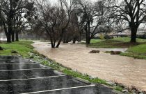 Cosgrove Creek Rising - Calaveras Consolidated Fire Image