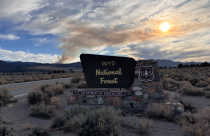 Pack Fire in Distance, Archive Image