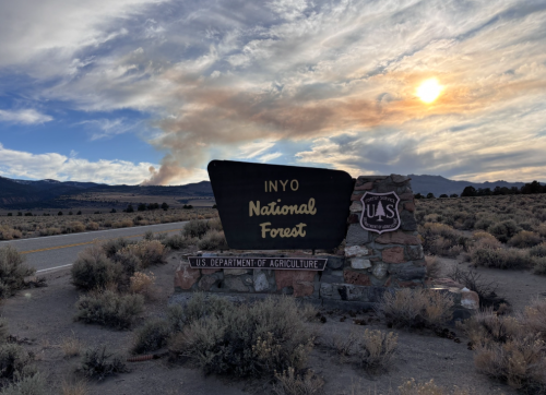 Pack Fire in Distance, Archive Image