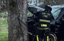 Pickup crashes into tree in on Pettinger Road in the Burson area of Calaveras County—CCF photo