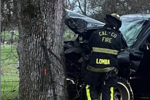 Pickup crashes into tree in on Pettinger Road in the Burson area of Calaveras County—CCF photo
