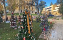 Christmas Tree Lane in Sonora
