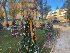 Christmas Tree Lane in Sonora