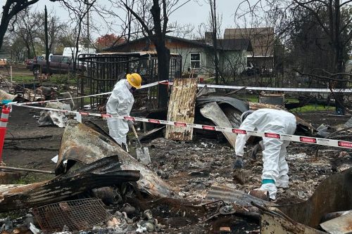 Tuolumne County-led Phase II Debris Removal Program—TCPW photo