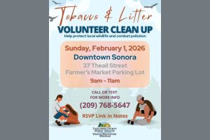 Flyer for the Tobacco & Litter Cleanup in Sonora—TCHD flyer