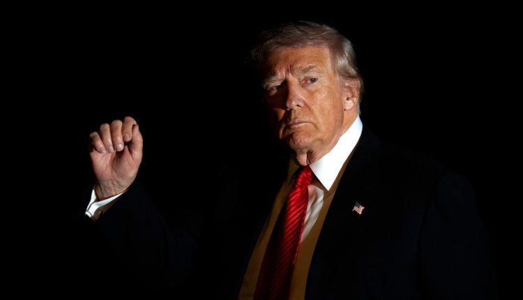 Trump One Year-Promises