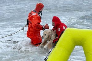 New Year Rhode Island Dog Rescued
